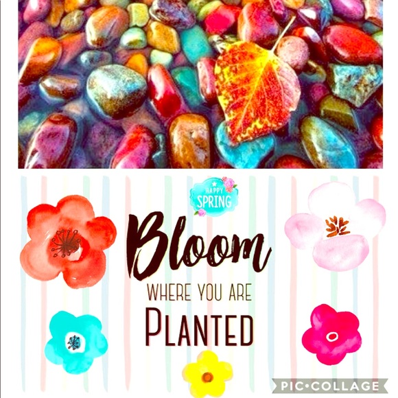 🛍 20% OFF 2+ BUNDLE 🛍